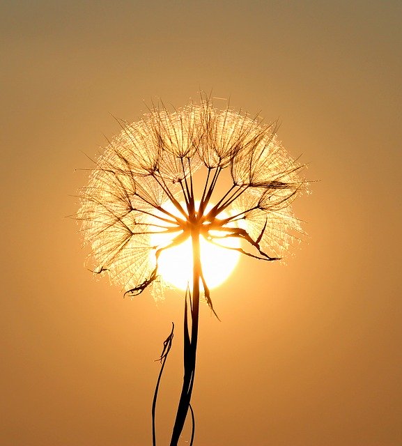 Licht en duisternis